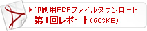 印刷用PDFファイルダウンロード 『第１回レポート（603KB）』