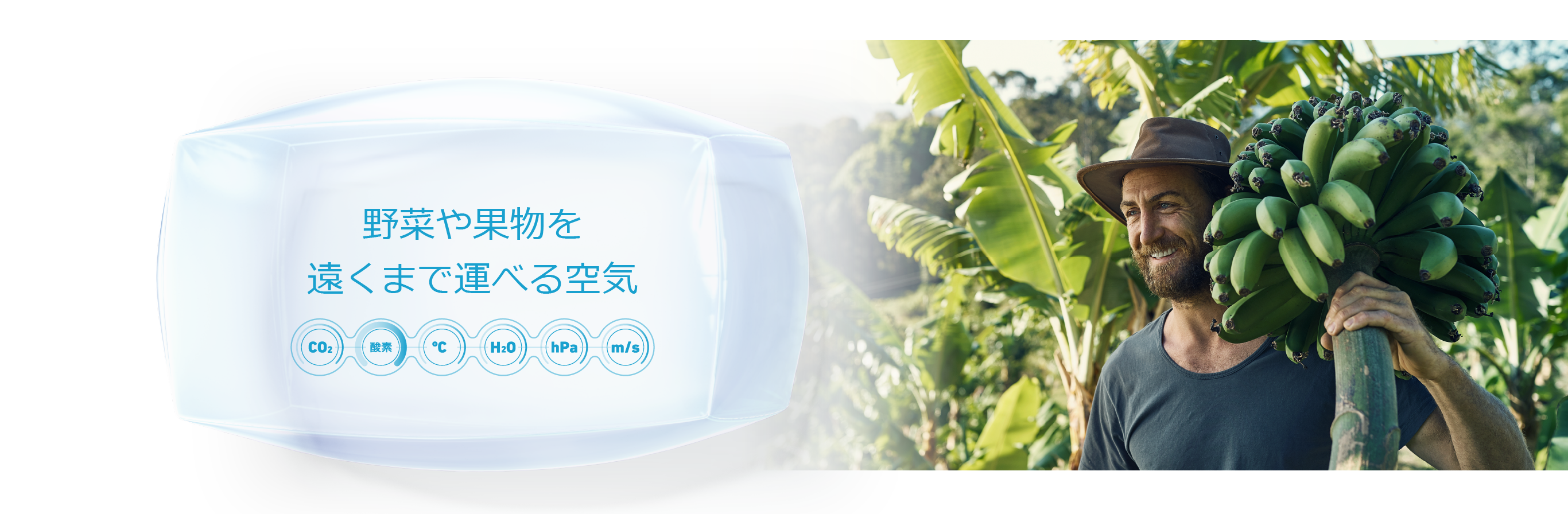 野菜や果物を遠くまで運べる空気