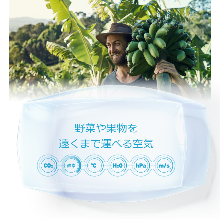 野菜や果物を遠くまで運べる空気