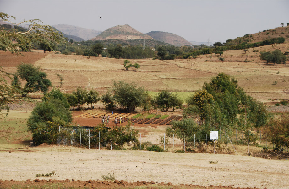 エチオピアの森林減少の画像