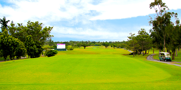 第38回大会結果