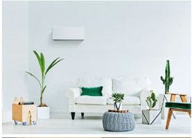 ラインホワイト