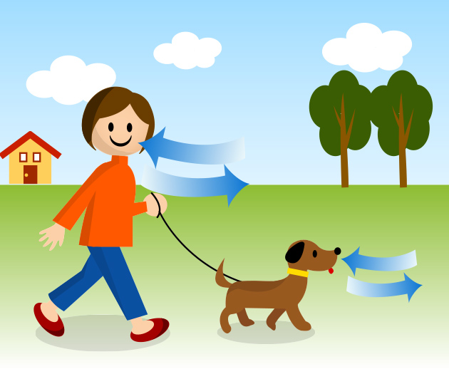 酸素は生き物が呼吸して生きるのにかかせないもの