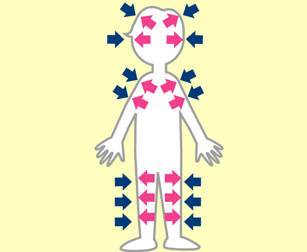 生き物のからだは、空気が外から押す力と、体の中から押す力のバランスがたもたれて形作られている