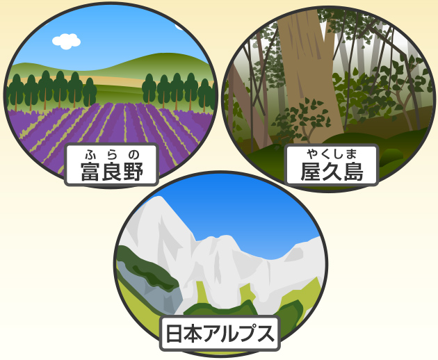 日本は、富良野、屋久島、日本アルプスという答えが多かった
