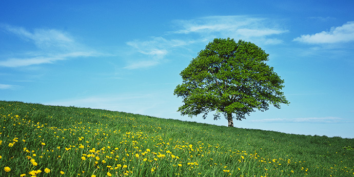 イメージ：エアコンとグリーン購入法
